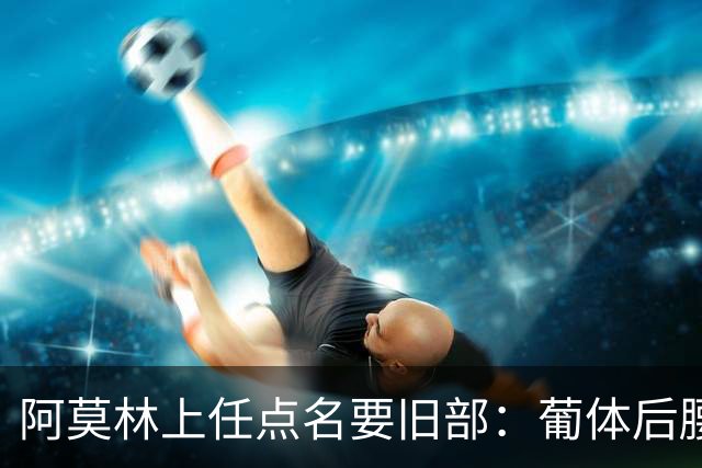 阿莫林上任点名要旧部：葡体后腰卖4500万，曼联放弃之人想转会