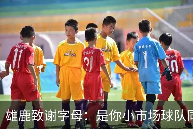 雄鹿致谢字母：是你小市场球队同样能傲视群雄 感谢你付出的一切